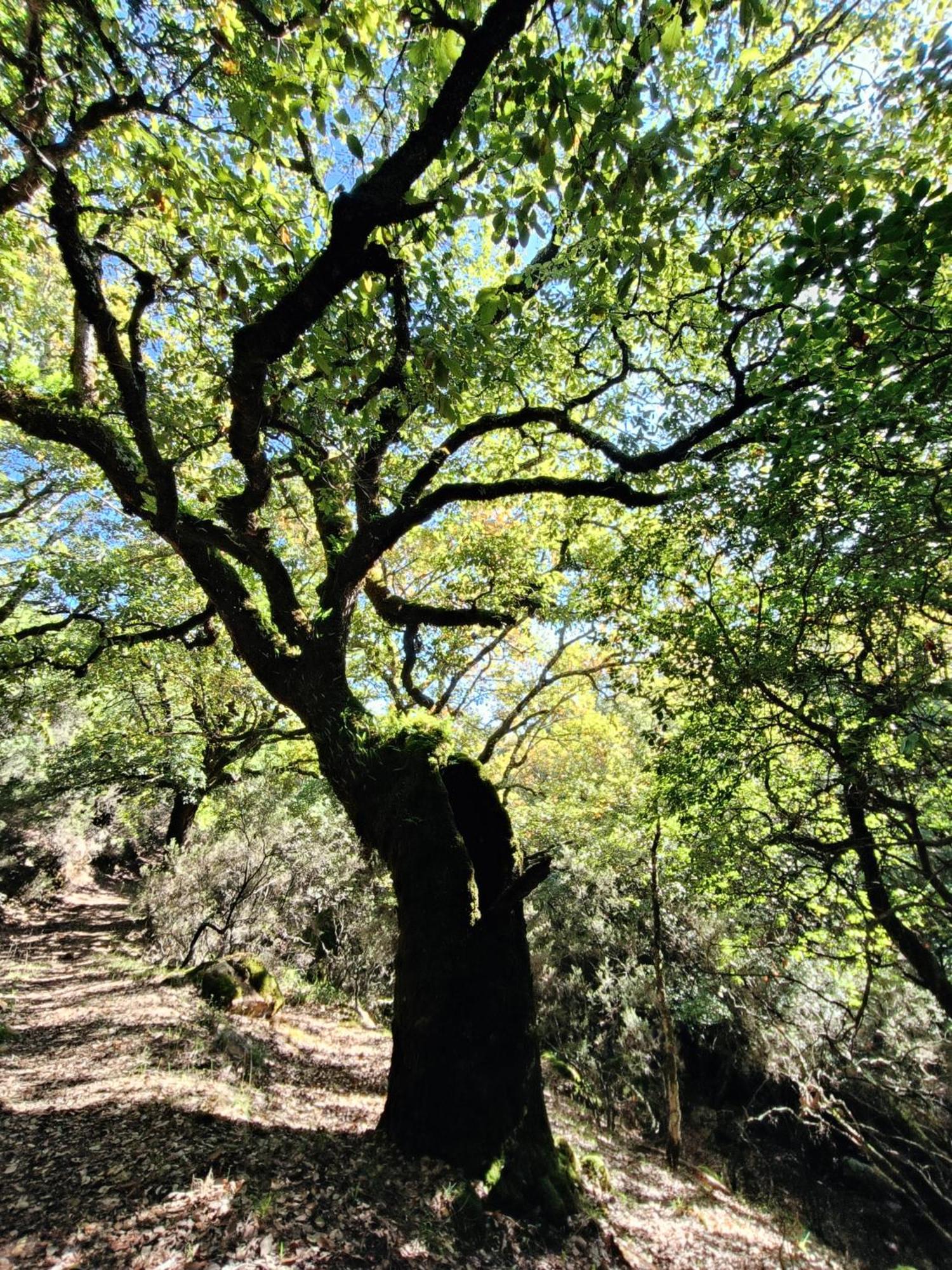 Vila Casa El Cerro Cortes de la Frontera Exteriér fotografie
